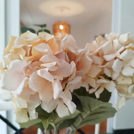 Апартаменты Sanfran 38 By Staynnapartments *