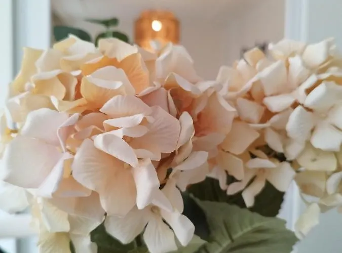 Апартаменты Sanfran 38 By Staynnapartments *